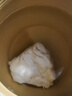 北京同仁堂野生石太歲養生長(cháng)白山千年溶洞活體泡水肉靈芝整塊 石太歲精品50克 配茶杯 曬單實(shí)拍圖