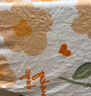 皮爾卡丹（pierre cardin）加厚法蘭絨毯子四季透氣空調(diào)毯毛巾被 150*200cm 萱花 曬單實(shí)拍圖