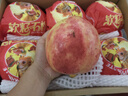 活力28山茶花洗衣液7.2斤大瓶裝 3.6kg不含熒光增白劑去污香氛持久留香 曬單實拍圖