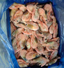 豪鮮品生鮮【25年新蝦】丹麥北極甜蝦(MSC認(rèn)證)熟凍冰蝦 90/120規(guī)格 凈重3斤 曬單實拍圖
