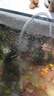 森森增氧泵家用充氧泵魚(yú)缸增氧機超靜音小型打氧機養魚(yú)魚(yú)缸氧氣泵220V 【二代更靜音】4W單孔氣石套餐 曬單實(shí)拍圖