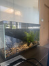 米家（MIJIA）智能生態(tài)魚(yú)缸還原自然生態(tài) 智能魚(yú)缸+濾芯套裝 曬單實(shí)拍圖