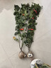 沁茗毓藤本月季大花濃香薔薇花苗爬藤攀援植物地栽適用庭院別墅陽臺(tái) 御用馬車 中苗（高60-70厘米） 曬單實(shí)拍圖