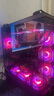 華碩ROG【24期免息】TUF全家桶 AMD 9950X3D/無卡/5070TI/5080彈藥庫870AYW/吹雪臺式電腦主機(jī)DIY整機(jī) 配置三：9950X3D丨32G丨1T丨TUF全家桶 曬單實(shí)拍圖