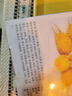 京魯遠洋 冷凍芙蓉蟹爪250g 10枚盒裝 油炸小食 兒童早餐海鮮 曬單實拍圖