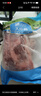 大莊園 進(jìn)口草飼原切牛腱子凈重2斤 生鮮牛肉 醬鹵燉煮食材【真原切】 曬單實拍圖