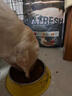 伯納天純凍干狗糧生鮮鴨肉梨全價(jià)凍干成犬幼犬通用犬糧 15kg 曬單實(shí)拍圖