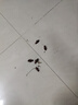 拜滅士蟑螂藥蟑螂噴霧劑噴霧特效強力家用殺蟲劑下水道蚊蠅小飛蟲300ml 曬單實拍圖