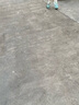 Edison小學(xué)生書包護(hù)脊減負(fù)反光大容量防潑水防下墜兒童背包2213-1s藍(lán)綠 曬單實(shí)拍圖