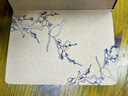 英雄（HERO）雙雀棲梅本 輕便伴手禮物特色文創(chuàng  )高檔筆記本國風(fēng)日記本手賬記事本 120G雙膠紙 160頁(yè) 熱門(mén)商品 曬單實(shí)拍圖