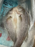 鮮京采三去海鱸魚3斤/3條 生鮮魚類 白蕉鱸魚地標(biāo) 中秋家宴魚類源頭直發(fā) 曬單實(shí)拍圖