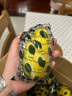 香水黃青檸檬多地次日達四川安岳薄皮新鮮水果非無(wú)籽檸檬送禮品物 帶箱5斤裝【80%人選】 曬單實(shí)拍圖