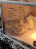 捕漁達人 蘆丁雞飼養箱40*30*30cm 寵物飼養箱觀(guān)賞籠子養殖恒溫箱鵪鶉窩籠 曬單實(shí)拍圖