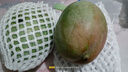 【新鮮上市】正宗攀枝花凱特芒果新鮮水果 帶箱2斤200g+ 曬單實(shí)拍圖