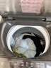 小天鵝（LittleSwan）波輪洗衣機全自動 12公斤大容量 直驅(qū)變頻【TB12-1809DT】家電國家補貼20% 以舊換新 一級能效 曬單實拍圖