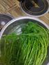 順豐包郵茴香菜新鮮茴香苗現摘頭茬葷香嫩葉回香小茴香餃子餡蔬菜 茴香帶根半斤 曬單實(shí)拍圖