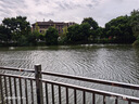 飛利浦（PHILIPS）電動(dòng)剃須刀經(jīng)典5系Pro 清爽凈剃AI智能刮胡刀 生日禮物 七夕情人節(jié)禮物送男友送老公 國(guó)家補(bǔ)貼 曬單實(shí)拍圖