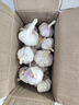 康田匯陜西2025干新鮮感大蒜現挖新蒜紫皮大蒜批發(fā)鮮蒜紅皮蒜干蒜 2.5斤單果4-5CMM凈重2斤 曬單實(shí)拍圖