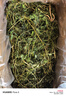 喜帥烘干紫花苜蓿草 幼兔兔糧牧草干草龍貓荷蘭豬磨牙飼料毛重1kg 曬單實(shí)拍圖