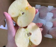 百媒煙臺紅富士蘋(píng)果 凈重5kg 單果220g+ 源頭直發(fā)包郵 曬單實(shí)拍圖