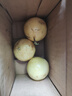 正宗廣西欽蜜9號百香果新鮮水果北城現摘香甜營(yíng)養豐富多汁鮮果 3個(gè)寶寶果 曬單實(shí)拍圖