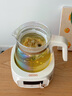 格麗思（GREENIS）養(yǎng)生壺全玻璃恒溫水壺 煮茶壺辦公室家用多功能煮水壺花茶壺電熱水壺?zé)踔髩責(zé)畨刂蟛杵?曬單實拍圖