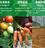 有機(jī)匯有機(jī)蔬菜套餐 生鮮茄果根莖葉菜  有機(jī)認(rèn)證零農(nóng)殘 順豐配送上門(mén) 6斤 聯(lián)系客服最多可選8種 曬單實(shí)拍圖