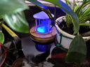 HIDOM希騰魚缸霧化器水族箱造景裝飾加濕器 彩燈款+浮標(biāo) 假山造霧器 曬單實(shí)拍圖