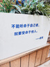 小鹿藍(lán)藍(lán)黃油吐司面包益生元添加含鈣鐵鋅元素烘焙新鮮短保早餐可搭配牛奶 DHA高鈣水牛乳吐司原味*1箱 曬單實(shí)拍圖