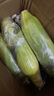 京鮮生云南水果玉米5斤 鮮甜玉米棒 甜脆多汁 新鮮蔬菜 源頭直發(fā)包郵 曬單實(shí)拍圖