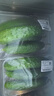 【水果菜】東北旱黃瓜約550g 曬單實拍圖