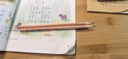 得力文具鉛筆小學(xué)生兒童幼兒園寫(xiě)字考試繪圖素描專(zhuān)用鉛筆安全原木2B/HB三角/六角桿矯正姿勢學(xué)生 三角桿【30支/HB】送卷筆刀+橡皮 曬單實(shí)拍圖