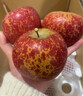 芬嵐云南昭通冰糖心丑蘋(píng)果【多地次日達】野生丑蘋(píng)果脆甜水果中秋禮盒 凈重2斤精品果【單果60MM+】 曬單實(shí)拍圖