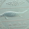 雙環(huán)心形2021新簡(jiǎn)約項鏈女鎖骨鏈女小眾設計感網(wǎng)紅ins風(fēng)飾品禮物 M1337【雙心項鏈金色】 曬單實(shí)拍圖
