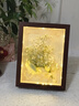 靜閑居干花相框立體畫(huà)框相框空框鮮花貝殼8寸永生花3cm標本框展示裝花 胡桃木8寸中空3cm 【17*22cm】 曬單實(shí)拍圖