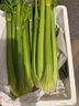 京鮮生山東新鮮大西芹凈重4.5斤榨汁現(xiàn)挖芹菜鮮嫩蔬菜 去半葉源頭直發(fā) 曬單實拍圖