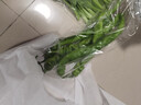 【蘸醬菜】螺絲椒 約300g 曬單實(shí)拍圖