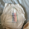 bebebus金標超薄拉拉學(xué)步褲2XL4片(≥15kg)茶樹精華成長褲試用裝 曬單實拍圖