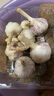 仙果春天精打細(xì)蒜 新鮮生鮮蔬菜多瓣大蒜頭無添加正宗 干蒜中果250g 曬單實(shí)拍圖
