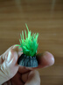 金晶五線超白魚缸生態(tài)造景水草缸家用魚缸玻璃魚缸桌面魚缸 魚缸造景仿真水草 隨機(jī)1棵 曬單實(shí)拍圖