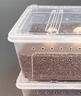 渠辰蛭石烏龜孵化烏龜孵化箱烏龜蛋孵化器箱烏龜蛋孵化器烏龜孵化盒 S碼孵化器1套（適合6個(gè)蛋） 【操作方便，可重復使用） 曬單實(shí)拍圖