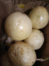 黃金百香果欽蜜9號(hào)新鮮當(dāng)季現(xiàn)摘精選好果水果百香果鮮果酸甜可口 欽蜜9號(hào)黃金百香果40~60g中果1斤 曬單實(shí)拍圖