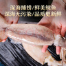 美加佳 鮮凍整只大魷魚（2-3只） 凈重550g 整條魷魚 深海捕撈 海鮮水產(chǎn) 曬單實拍圖