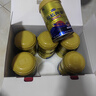 原始黃金新疆駱駝奶粉330g*6罐益生菌無(wú)蔗糖駝乳粉高鈣兒童成人奶粉禮盒 曬單實(shí)拍圖
