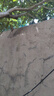 KARCHER 德國(guó)卡赫 洗車(chē)機(jī)高壓噴槍 家用水槍清洗機(jī)高壓水槍沖洗1400W CTK Compact Plus 曬單實(shí)拍圖