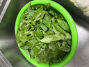綠食者 新鮮羅勒葉500g 西餐香料 意大利面青醬香料調(diào)料 新鮮蔬菜 500g 曬單實拍圖
