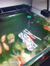 創(chuàng  )寧魚(yú)缸石英加熱棒 CN-605-200W 低水位烏龜小型迷你自動(dòng)恒溫器 曬單實(shí)拍圖