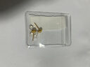 千葉珠寶黃金足金高級感鑲嵌鋯石泡泡耳釘百搭耳飾計價送女友生日禮物 金重約1.78g/黃金鑲鋯養(yǎng)耳針 足金耳釘/支持多退少補 曬單實拍圖