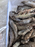 生冷凍南美白對蝦 2kg 2kg(凈重) 曬單實(shí)拍圖