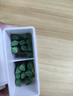 史丹利緩釋肥營(yíng)養棒花肥家用盆栽通用養花復合氮磷鉀花卉型多肉 曬單實(shí)拍圖